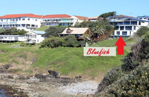 Yamba House | Bluefish Stunning Ocean Views