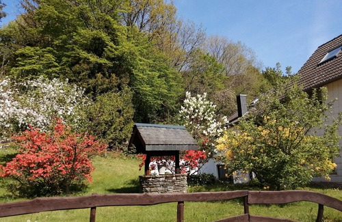 Simmerath Apartment | Blumenhof Hammerwerk 1