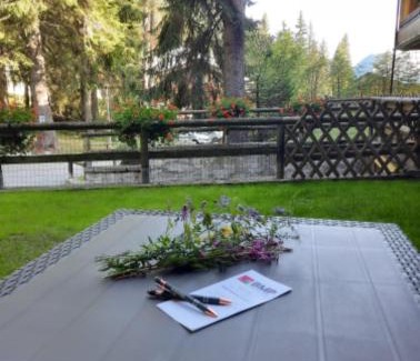 Madonna di Campiglio Apartment | BMP APARTMENT SPINALE Campiglio centro, GARAGE