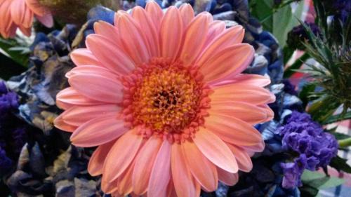 Onsernone Bed & Breakfast | BnB "A la Crus"