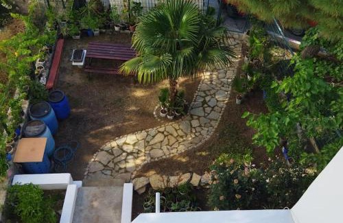 Bodrum City Center House | Bodrum Center Private Holiday House