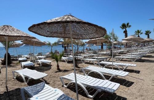 Turgutreis City Center Apartment | Bodrum-Turgutreis Merkezde Plaja 50 Metre uzaklıkta 1 ve 2 numaralı daireler