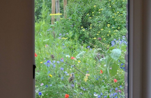 Oosterzele Cottage | Boonackere Cottage, a charming rural retreat, very close to Ghent.