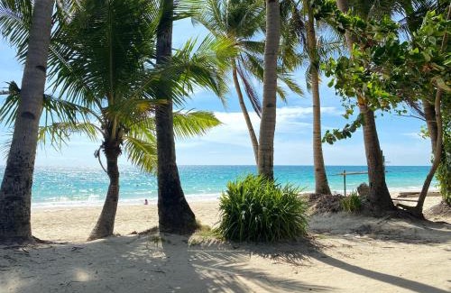 Manoc-Manoc Apartment | Boracay beach front station 3 unit A18