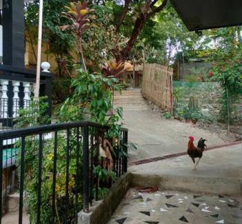 Manoc-Manoc Apartment | Boracay Sunset View: 2-min Walk to White Beach