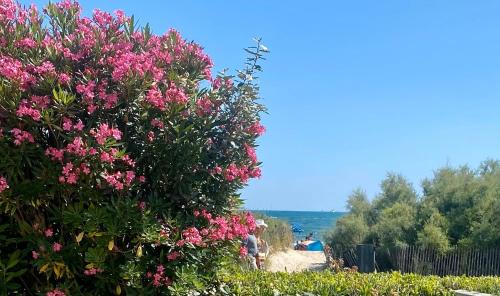 La Grande-Motte Apartment | Bord de mer: soleil, plage et grande terrasse pour instants de détente (Wifi, clim)