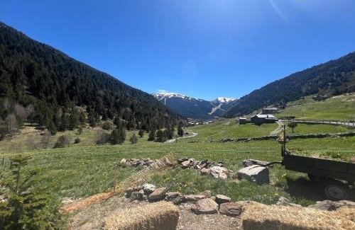 Soldeu Ski Chalet | Borda Martí, Chalet de montaña en la Vall d'Incles HUT1-08422
