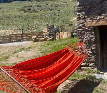 Soldeu Ski Chalet | Borda Martí, Chalet de montaña en la Vall d'Incles HUT1-08422