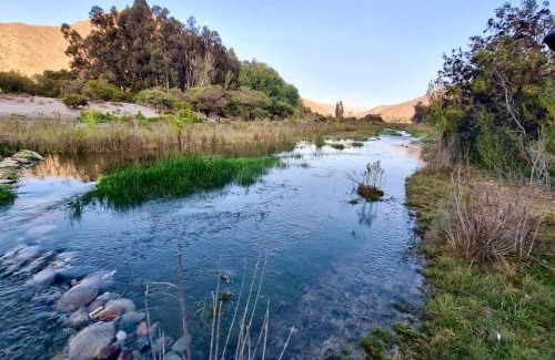 El Molle Apartment | Borde rio, Eco-Cabaña Jararankhu
