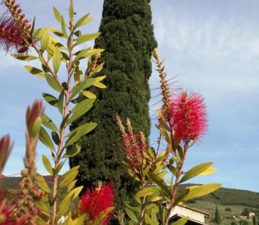 Baschi House | Borgo Buciardella