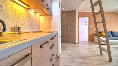 Hradec Kralove Apartment | Boromeum Residence