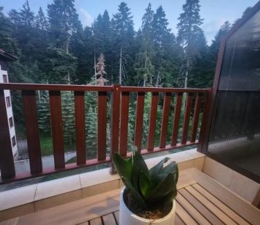 Borovets Apartment | Borovets Violet by Ski slopes