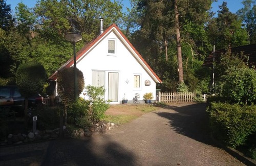 Zuidwolde House | Boshuisje nabij het Reestdal
