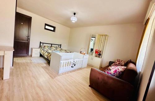 Didi Ateni Apartment | Boshuri Apartments