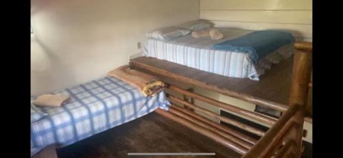 Diamantina Resort | Bosque Diamantina