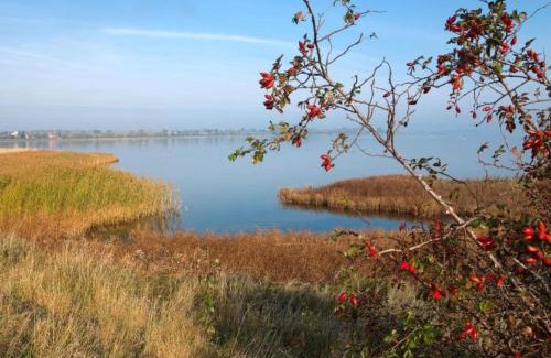 Insel Poel House | Boutique Bungalow in Insel Poel with terrace