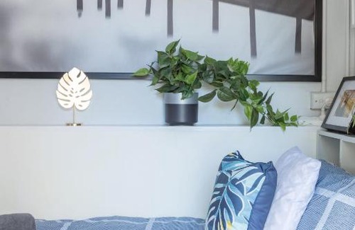 Kingsford House | Boutique Private Room In Kingsford Near UNSW, Light Railway&Bus 1s - ROOM ONLY