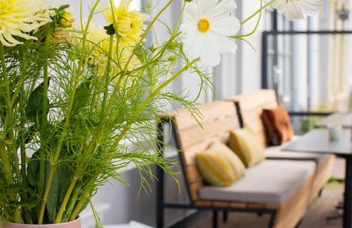 Binnenstad Hotel | Boutiquehotel Princenjagt