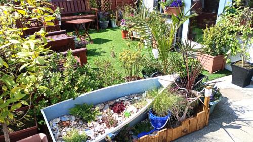 Skegness House | Brackenhurst Guest House