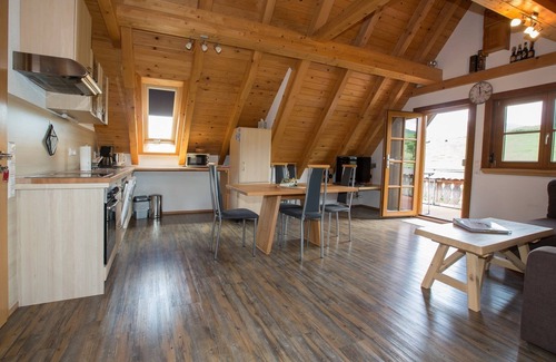 Oberharmersbach Apartment | Breigenhof - cozy apartment Falcon nest in the attic - sunny location