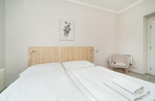 Zizkov Apartment | Bright 2 bed with big terrace by tram