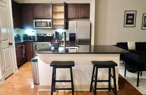 Astrodome Apartment | Bright 2BR APT Near NRG Stadium, Balcony Pool View, Free WIFI, GYM