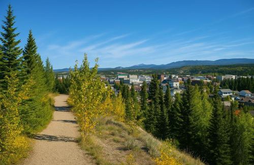 Whitehorse House | Bright Downtown Room Walk Everywhere Aurora Nearby