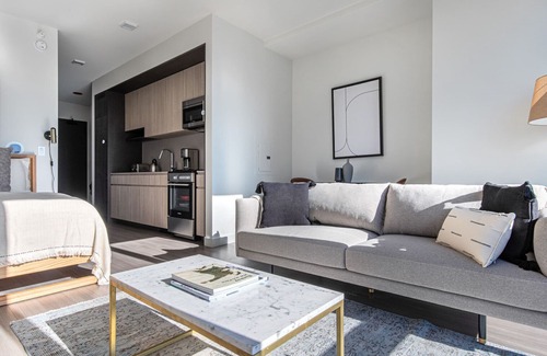 South Loop Apartment | Bright South Loop Studio w/Pool, Gym, walk to Grant Park, by Blueground (ID #CHI347)