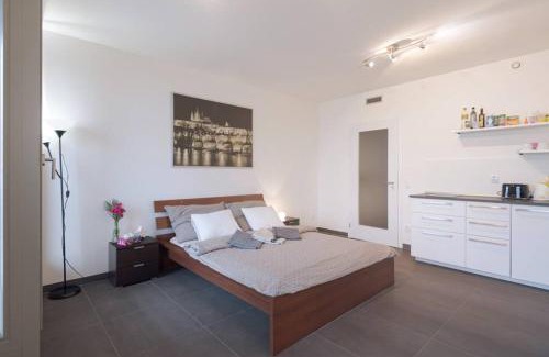 Zizkov Apartment | Bright studio, 10min to the Centre, free Parking