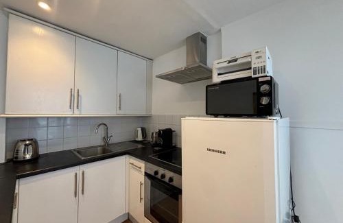 Parsons Green and Walham Apartment | Bright Studio Flat with Private Patio Fulham