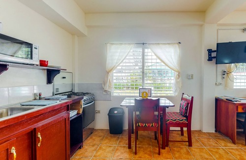 Caye Caulker Apartment | Bright studio w/complimentary bikes, kitchen, picnic area, WiFi & partial AC