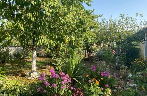 Tsageri Apartment | Brilliant 3-bedroom apartment in Chalistavi