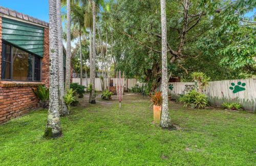 Iluka House | Bromeliads