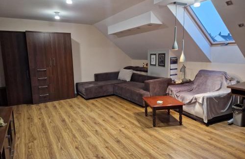 Pierwoszyno House | Brown room F in house