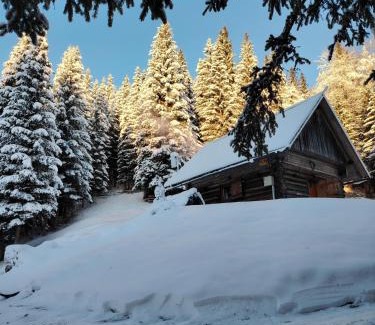 Bohinj Apartment | Brunarica na Goreljeku