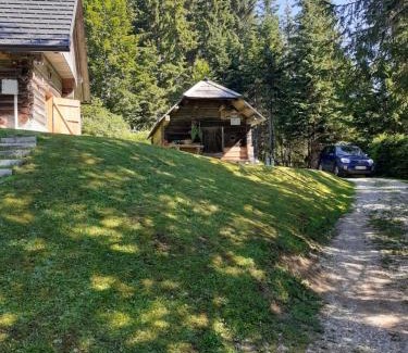 Bohinj Apartment | Brunarica na Goreljeku