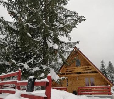 East Sarajevo Ski Chalet | Brvnara Orfej