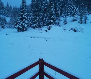 East Sarajevo Ski Chalet | Brvnara Orfej