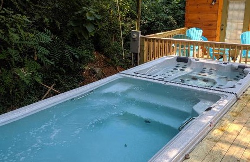 Lookout Valley Neighborhood Association House | Bryce Cabin Lookout Mtn Tiny Home W Swim Spa