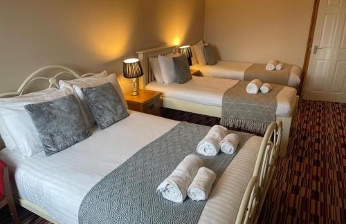 Aberystwyth House | Brynhyfryd
