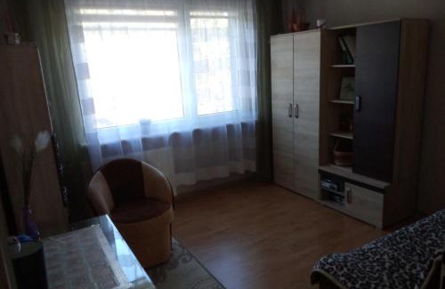 Konin Apartment | Budżetowe mieszkanie centrum v osiedle