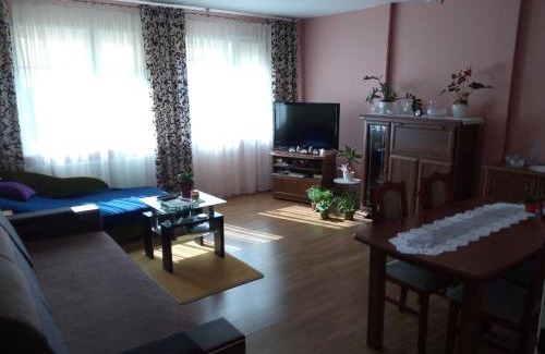 Konin Apartment | Budżetowe mieszkanie centrum v osiedle