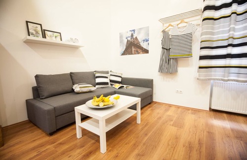 Erzsebetvaros Apartment | Budaguide Central Ap1 for 2-4people