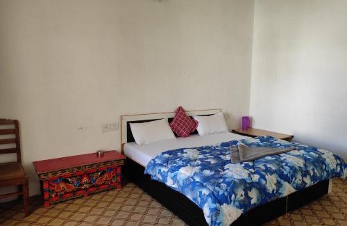 Diskit House | BUDDHA GUEST HOUSE , Nubra valley