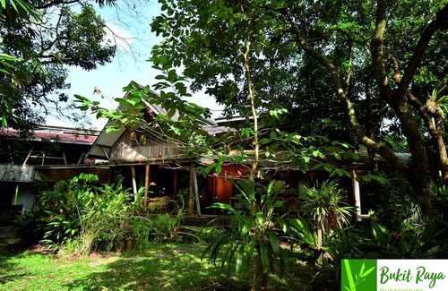 Palangkaraya Hotel | Bukit Raya Guesthouse