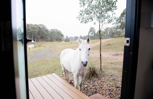 Martindale House | Bundaleer Tiny House 2 by Tiny Away