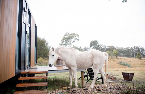 Martindale House | Bundaleer Tiny House 2 by Tiny Away