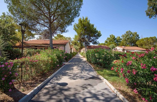 Piombino House | Bungalow Standard two-room apartment with mezzanine and air conditioning
