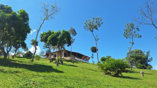 Rumisapa Other | Bungalows Las Brisas de Pacchilla