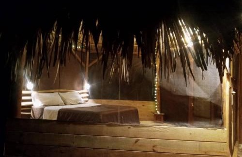 Las Terrenas House | bungalows tropicaux Jardin exotique